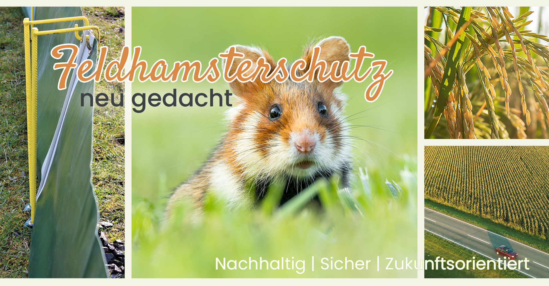 Header_drei_felder_2 Header_drei_felder_2